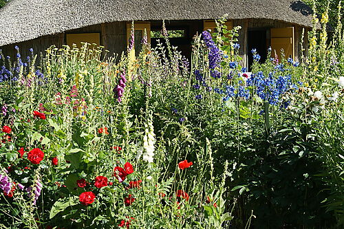 Der Blumengarten von Ada und Emil Nolde in Seebüll Dicht bepflanzter Blumengarten von Ada und Emil Nolde in Seebüll mit hoch wachsenden Stauden und farbenreichen Sommerblumen.