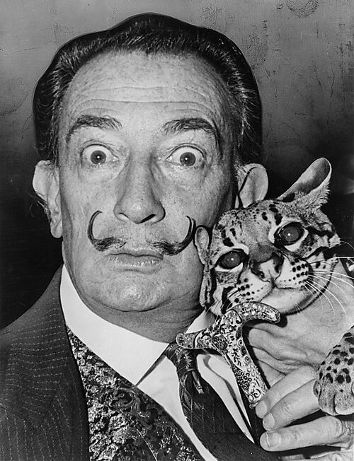 Salvador Dalí im Jahr 1965 mit seinem zahmen Ozelot, den er als Haustier hielt