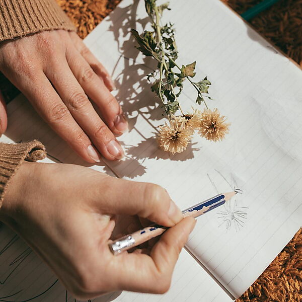 Hände zeichnen mit Bleistift in ein Notizbuch und nutzen einfache natürliche Motive als Vorlage.