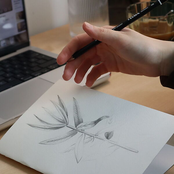 Eine Hand zeichnet mit einem Bleistift eine einfache Pflanzenstudie auf weißes Papier.