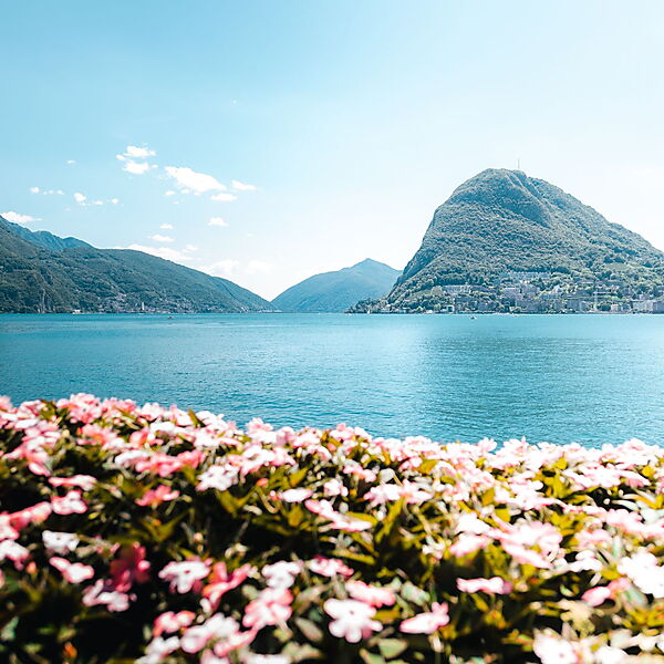 Rosa Blumen im Vordergrund, ein See im Mittelgrund und Berge im Hintergrund
