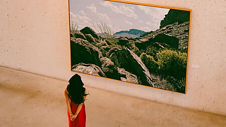 Frau im roten Kleid betrachtet allein ein großformatiges Landschaftsbild in einer modernen Kunstgalerie.